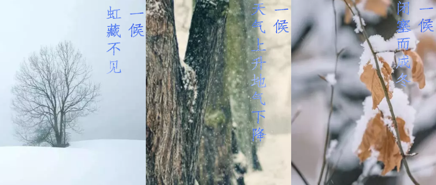 今日小雪，寒潮來襲，洗瓶機(jī)來幫你解放雙手吧！